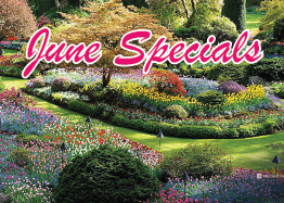 June Specials